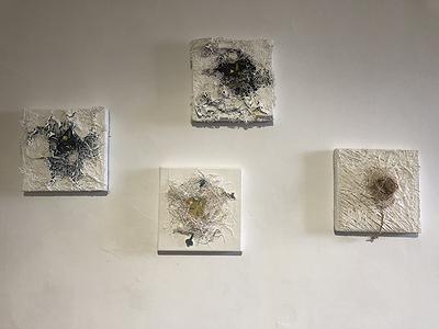 線，在進行式 - 曾微雅創作研究 IMG_9342