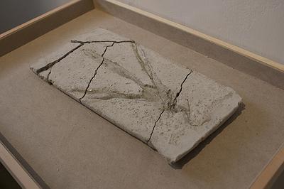 多線創作的首拍：陳昱廷創作研究 21 陳昱廷，〈成為化石〉，水泥，圓形四個(直徑分別為11公分、10.9公分、11.3公分、10.9公分)、長方形兩個(12.2x23.7公分、21.5x22公分)，2021。5