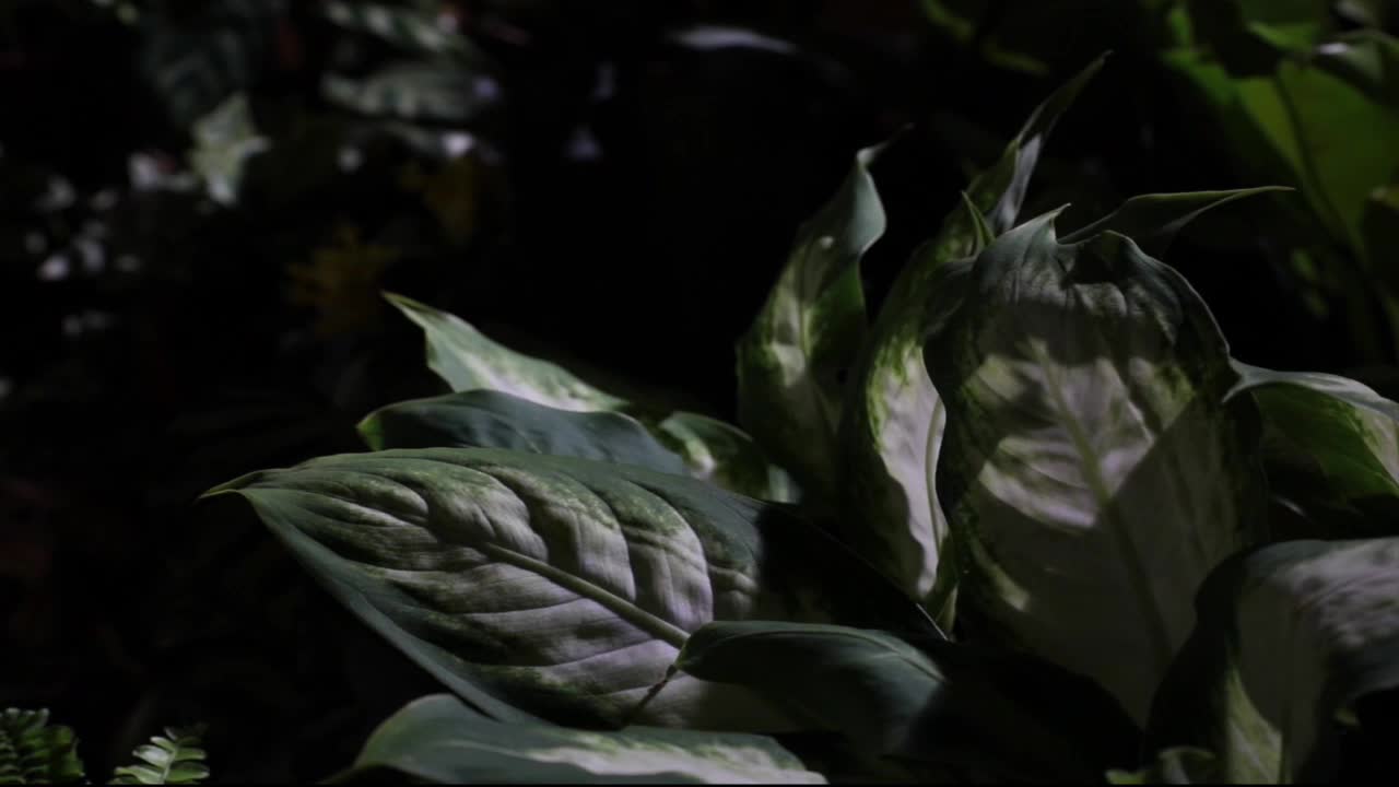 “Unknown Field” ：The Discussion of Landscape and Place in Video Art's Cover