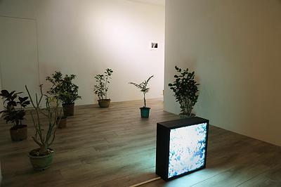 The Poetic of Dwelling — A Study of Chia Ning Liang’s Art Creation's Cover