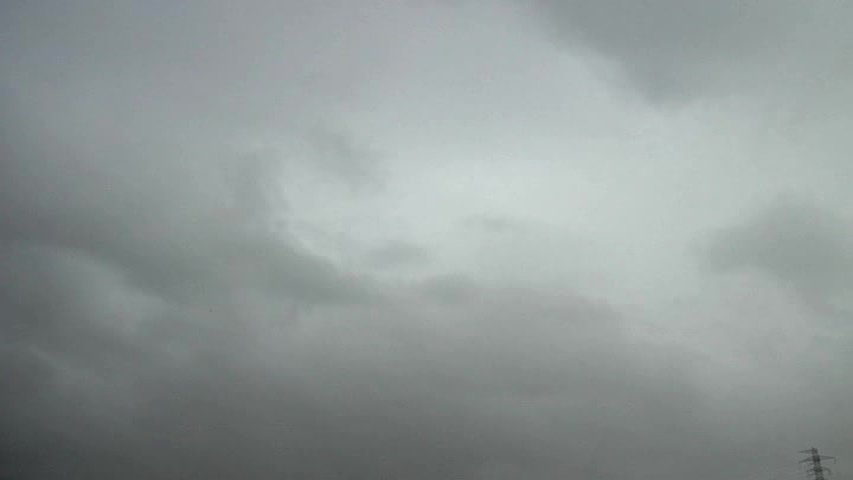 Life flying against the wind-1's Cover