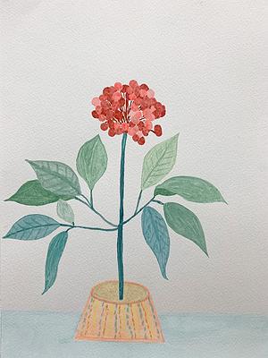 Plants Healing—A Discourse on Ying-Syuan Huang's Artworks's Cover