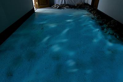 〈流變空間〉，2022，樹酯、漁網、照片、木馬、魚（模型）、黑鳶蛋（模型）LED燈，依場域而定。-2