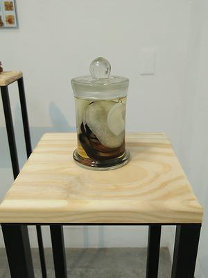 中藥系列作品15