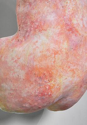 2025_08_Soft_Armor_plaster_close2