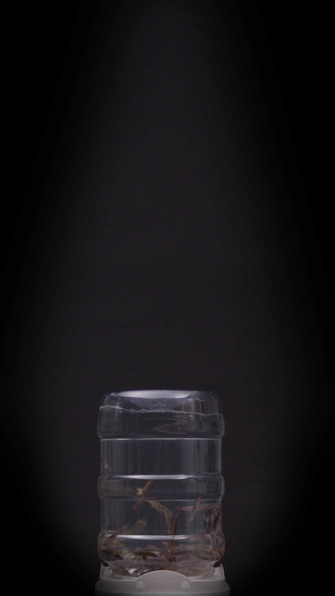 Private Portfolio and Private Video — An Art Project of “Intimate Monogatari” on Video Installation's Cover