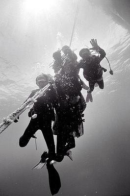 Lanyu of Seeing-41's Cover