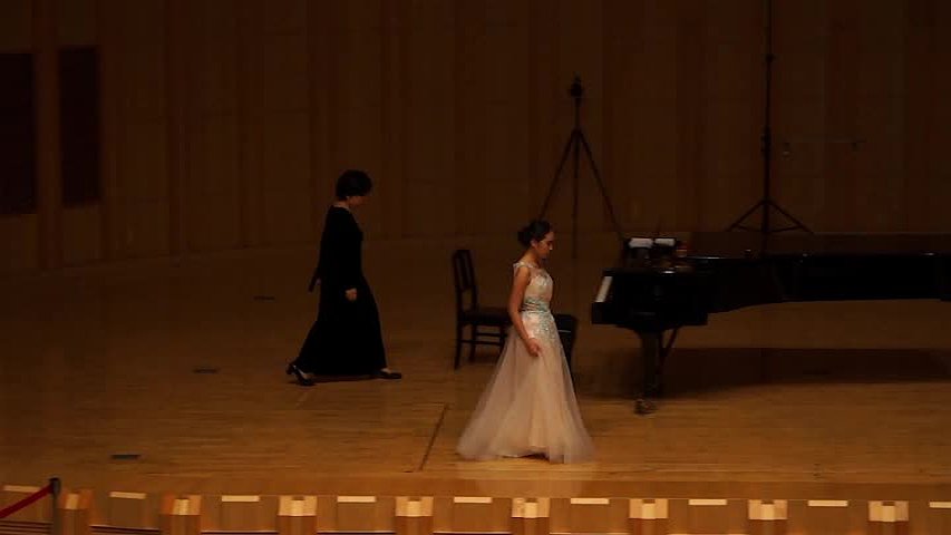 The Analysis and Interpretation of Dvořák Zigeunermelodien op.55's Cover
