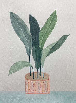 Plants Healing—A Discourse on Ying-Syuan Huang's Artworks's Cover