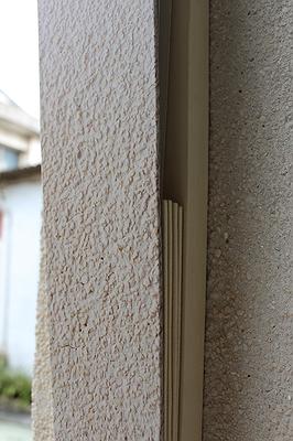 Memory Text/Perceptual Situation/Syun Kuan - 49's Cover