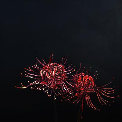 Island of light─Creation Thesis of Tsao, Sung-Ching's Cover