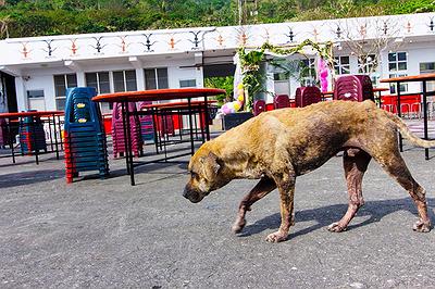 Lanyu of Seeing-43's Cover