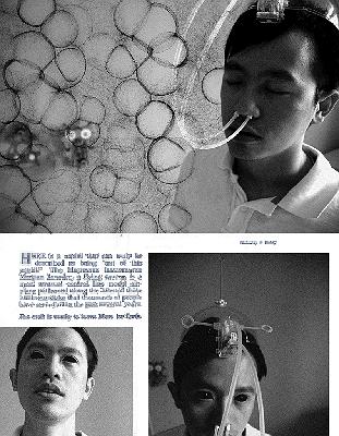 Body Modification's Cover