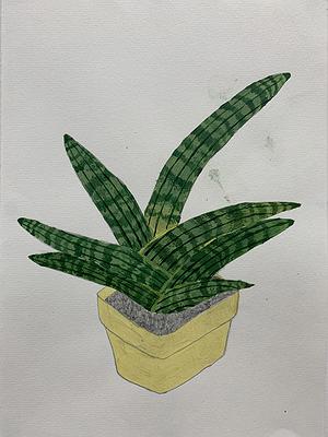 Plants Healing—A Discourse on Ying-Syuan Huang's Artworks's Cover