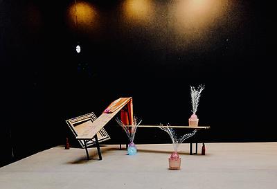 〈植物靈魂商店〉，2018，複合媒材，依場地而定