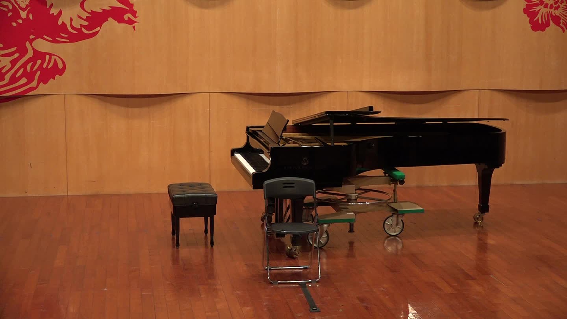 Interpretation and Style Comparison between Two Editions of Franz Schubert’s First Movement of  Arpeggione Sonata in A Minor's Cover