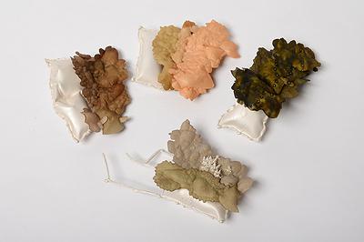 潛存的膨脹語彙—葉方瑾當代首飾創作論述-29