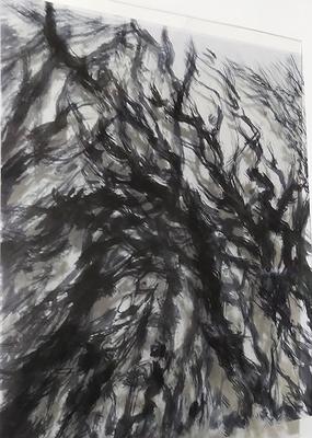 (作品12)圖4-1-12〈映物相生三〉(木質系列)