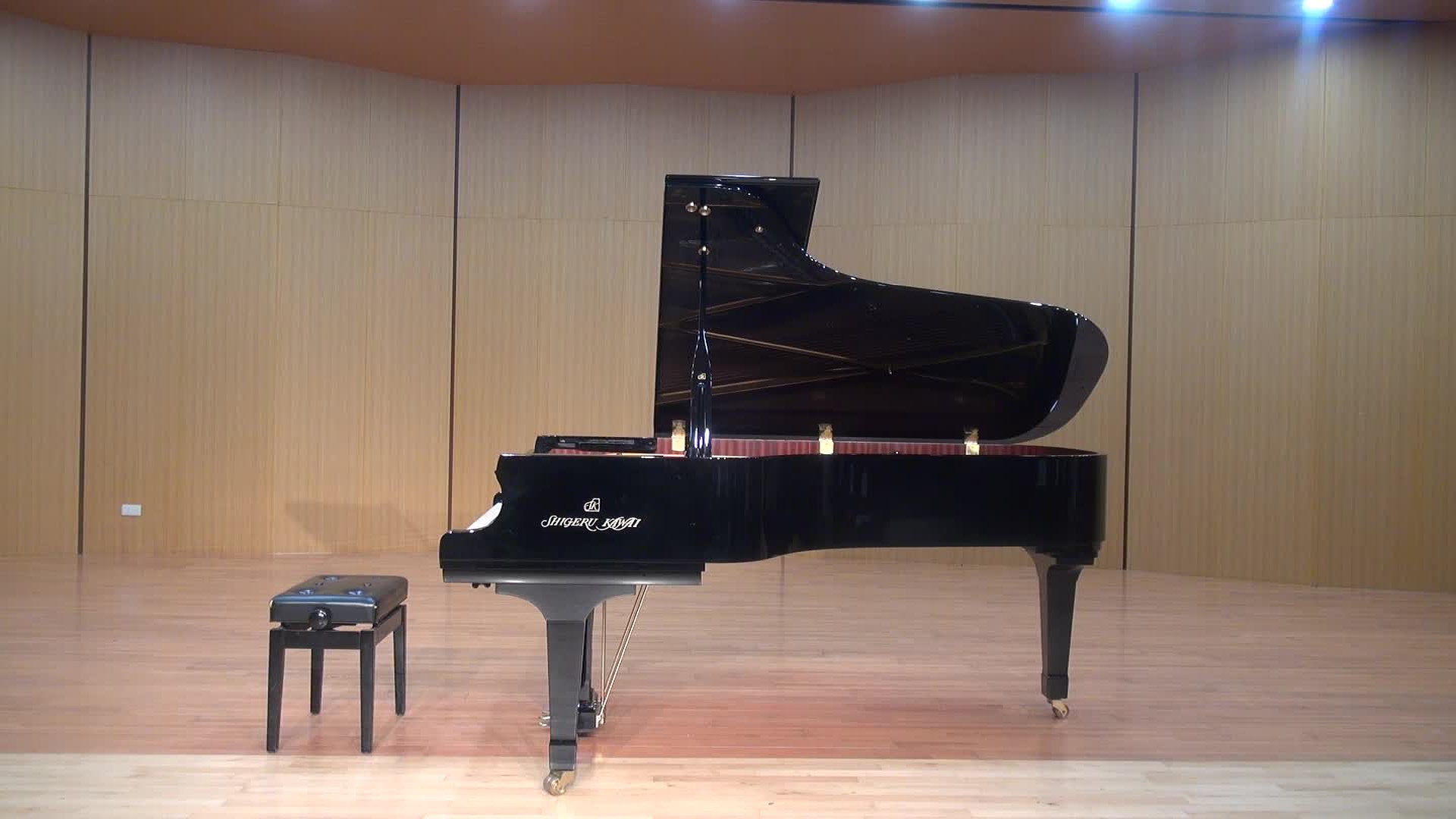 劉陛馬鋼琴獨奏會-1的封面圖