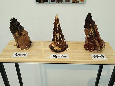 中藥系列作品12