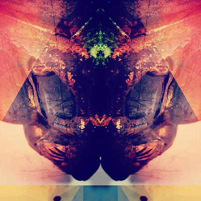 圖載場—白虛與夜實的生物世界-11