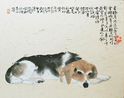 波比的封面圖