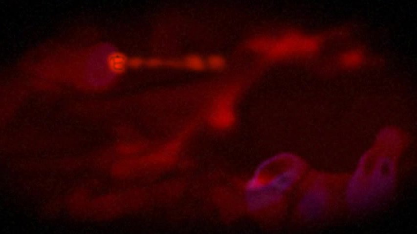 《紅色月亮》-2的封面圖