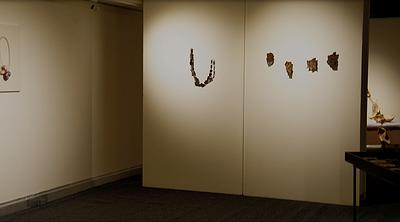 2025_Wearing_the _Skin_exhibtion_venue_room1-3