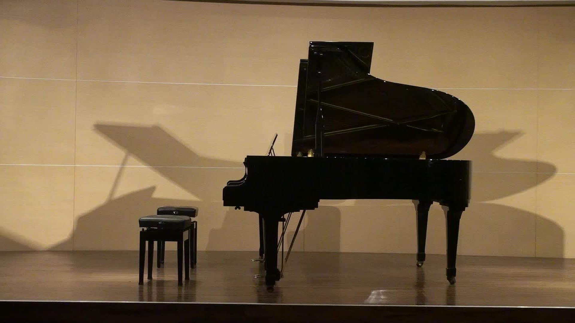 陳佩琪鋼琴音樂會作品分析研究-3的封面圖