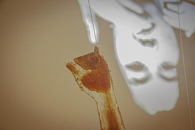 異類之於同體_4