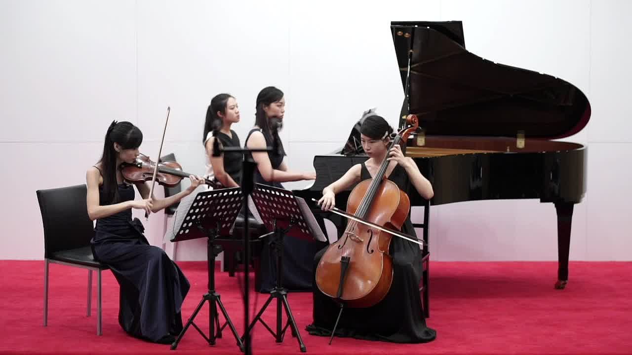 杜岳臻大提琴演奏會：含輔助資料演奏會錄音、樂曲解說及室內樂演奏會錄音-6