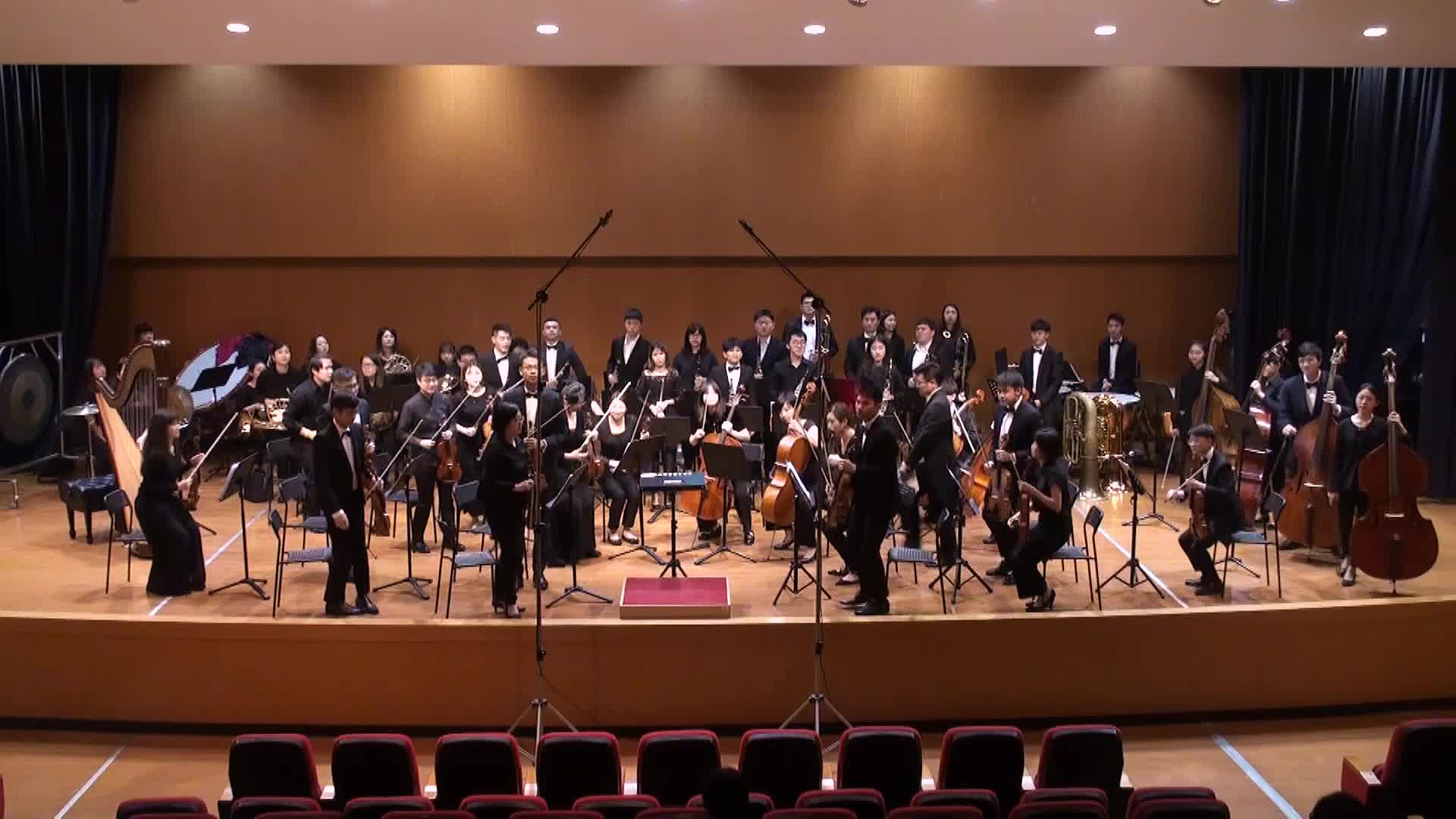 馬勒第一號交響曲指揮詮釋分析的封面圖