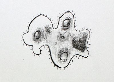 Plants Healing—A Discourse on Ying-Syuan Huang's Artworks's Cover