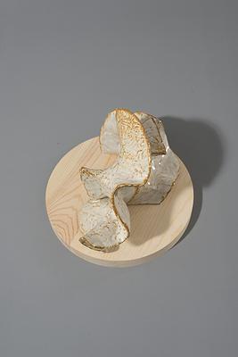 邊界與重複—陳邦彦創作論述 生長系列-1