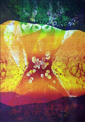 Body Code ─The Printmaking Creative Discourse of Lai, Jui-Ling's Cover