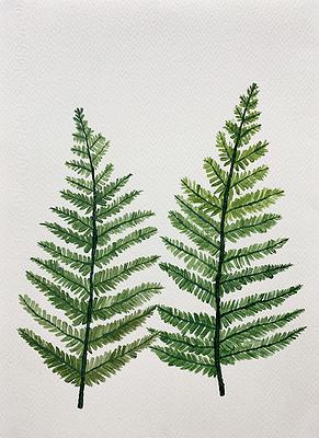 Plants Healing—A Discourse on Ying-Syuan Huang's Artworks's Cover