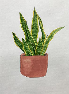 Plants Healing—A Discourse on Ying-Syuan Huang's Artworks's Cover