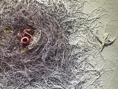 線，在進行式 - 曾微雅創作研究 IMG_9297