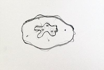 Plants Healing—A Discourse on Ying-Syuan Huang's Artworks's Cover