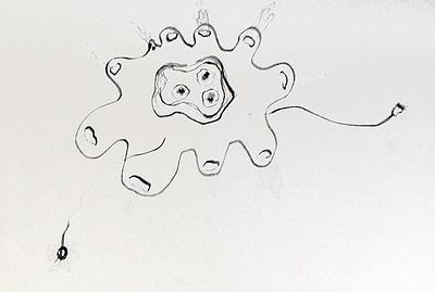 Plants Healing—A Discourse on Ying-Syuan Huang's Artworks's Cover