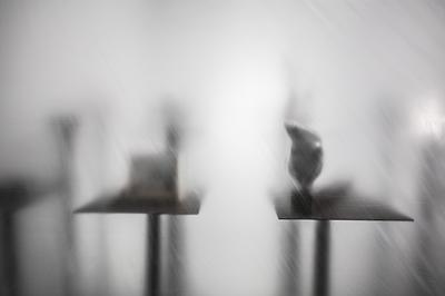 圖10-9.與正本相符—正本的封面圖