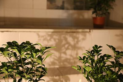 The Poetic of Dwelling — A Study of Chia Ning Liang’s Art Creation's Cover