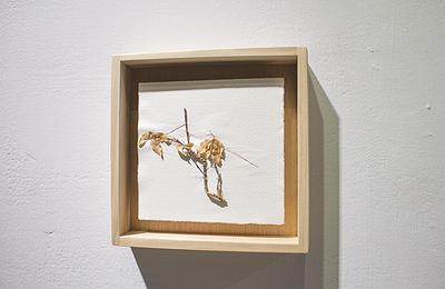 多線創作的首拍：陳昱廷創作研究 陳昱廷，〈P.S. (_____)〉，銅箔、銅線、葉子、水彩紙、木頭，各18x18cm(共 45 個)、各 32x19cm(共 2 個)，2016。9的封面圖