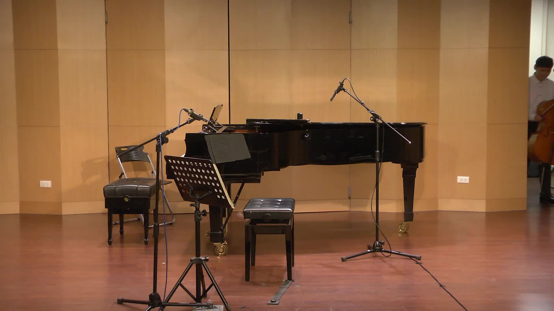 The Analysis and Interpretation of Cello Sonata No.1 in E minor, Op. 38, by Johannes Brahms's Cover