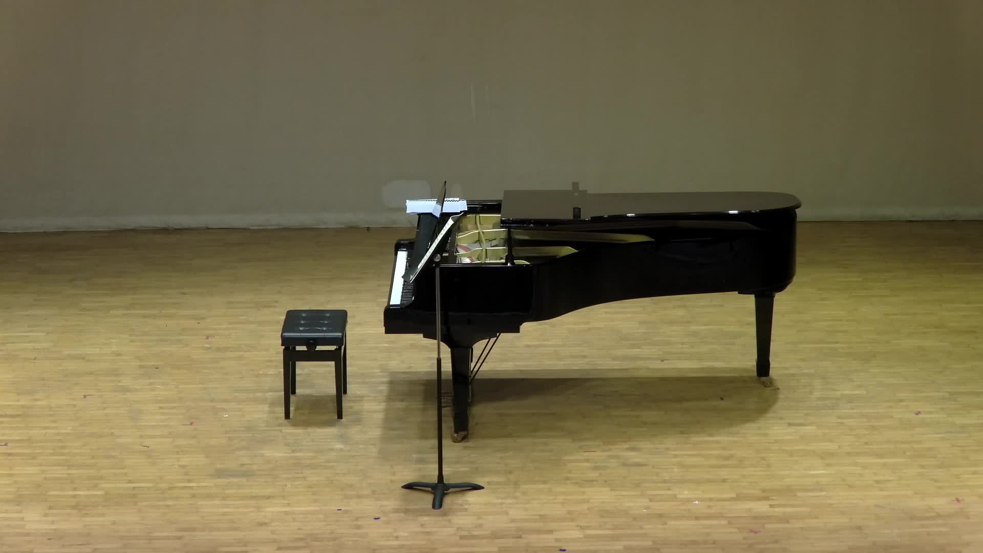 An Analysis and Interpretation of Introduction and Rondo capriccioso, Op. 28 by Camille Saint-Saëns's Cover