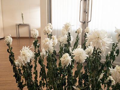 多線創作的首拍：陳昱廷創作研究 45 陳昱廷，〈無根〉，白菊花、鋼釘、環氧樹脂，依場域而定，2020。3