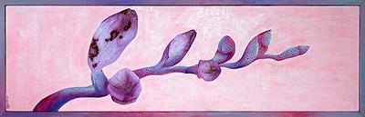 〈枝頭蓓蕾—小蒼蘭1〉的封面圖