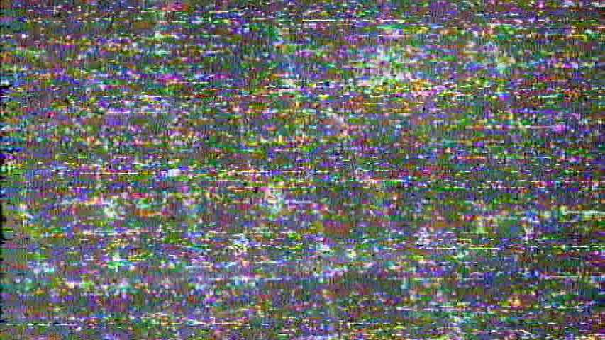 Lost Contact - the Belonging and Affinity through Collective Amnesia's Cover