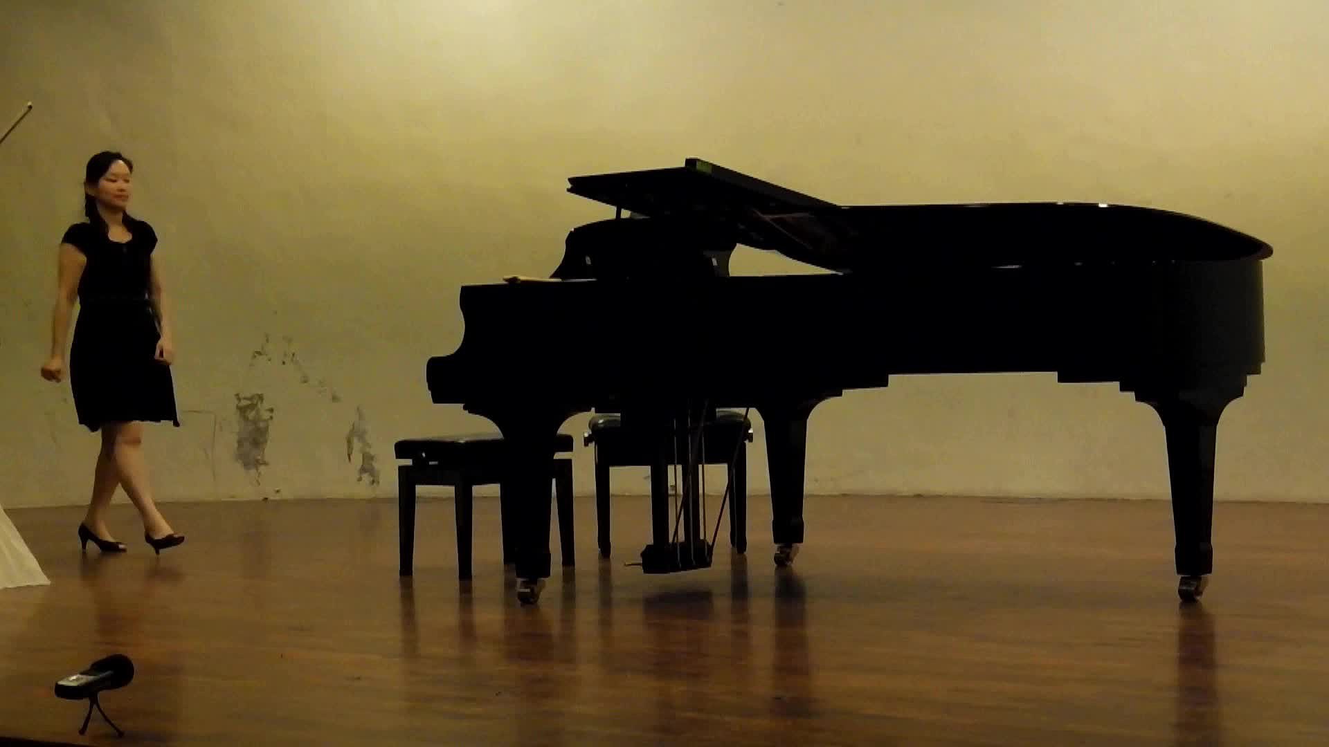 雅納捷克《小提琴奏鳴曲》音樂表情與演奏技巧之探究與分析-3