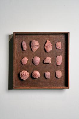 2023_01_Skin_Collection_pomelopeel_all